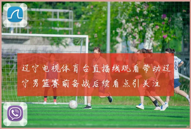 辽宁电视体育台直播线观看带动辽宁男篮赛前备战后续看点引关注