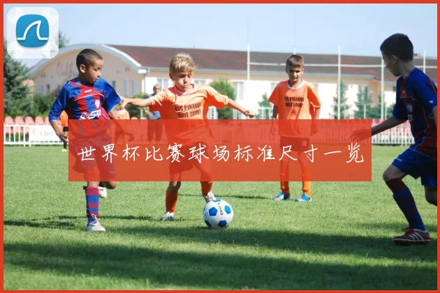 世界杯比赛球场标准尺寸一览